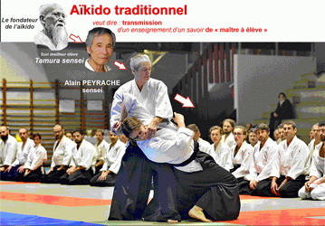  Ueshiha M Tamura N, Alain Peyrache 