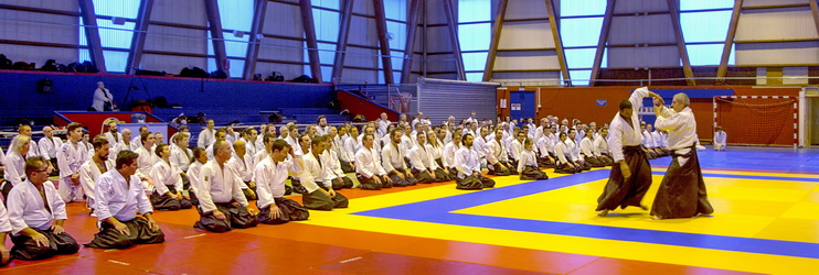  stage annuel d'aïkido traditionnel de Lyon Tassin 